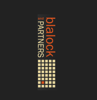 Blalock & Partners Logo