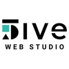 Five Dimensions Web Studio Logo