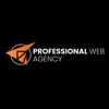 Professional Web Agency Logo
