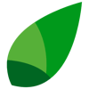 A fresh leaf. Logo