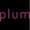 Beach Plum Interiors Logo