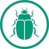 Beetle Green Ltd Logo
