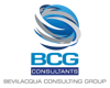 BCG Consultants Logo