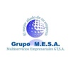 Mesa Group Logo