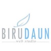Birudaun Web Studio Logo