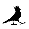 Blackbird Chateau Logo