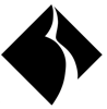 Black Diamond Networks Logo