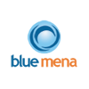Blue Mena Group Logo