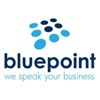 Blue Point Telecom Logo