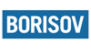 Borisov Accounting Services Logo