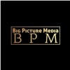 Big Picture Media LLC Logo