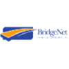 BridgeNet Technology Consultants Logo