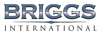 Briggs International Logo