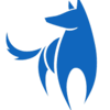 Bright Wolf, LLC Logo