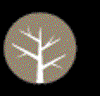 Bristlecone Advisors Logo