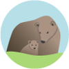 Brown Bear Creative Logo