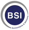 Business Solutions International Logo