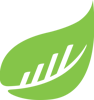 BusySeed Logo