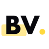 Binary Vision Studios Logo