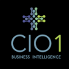 CIO1 Business Intelligence Logo