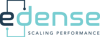 Edense Inc Logo