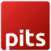PIT SOLUTIONS Logo