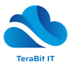 Terabit IT Logo