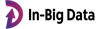 IN-BIGDATA Logo