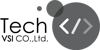 Tech VSI Logo