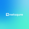 Netsqure Technologies Pvt  Ltd Logo