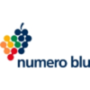 Numero Blu Servizi S.p.A. Logo
