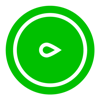 Pickle Content Logo