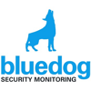 Bluedog Security Monitoring Logo