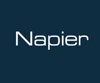 Napier Partnership Limited Logo
