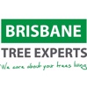 Brisbane Tree Experts Logo