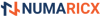 Numaricx Logo