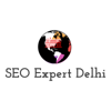 Best SEO Expert in Delhi Logo