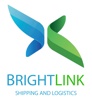 BrightLink Shipping and Logistics Logo