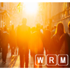 WRM Consulting Group Logo
