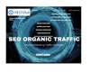 SEOBOT Online Logo