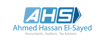 AHS Auditors Logo