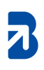 Braandix Business Consultancy Logo