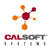Calsoft Systems Logo