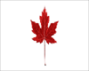 Canada-Ask Immigration and Investment Services Inc. Logo