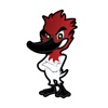 Canvasback Media Logo