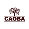Caoba IT Logo