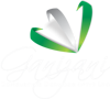 Ganizani Consulting Logo