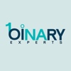 Binary Experts LLC Logo