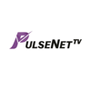 PulseNetTV Logo