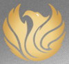 Phoenix Financial Group Ltd Logo